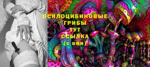 бошки Медногорск