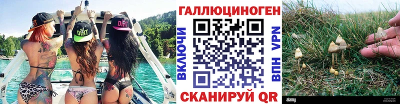 хочу Щёлково Галлюциногенные грибы ЛСД